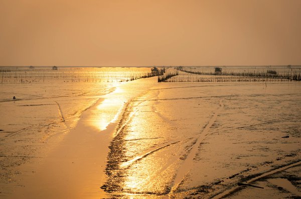 Découvrir les logements en woofing pour voyager pas cher