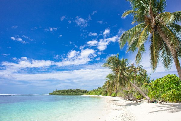 Petits budgets : comment réussir sa location de dernière minute